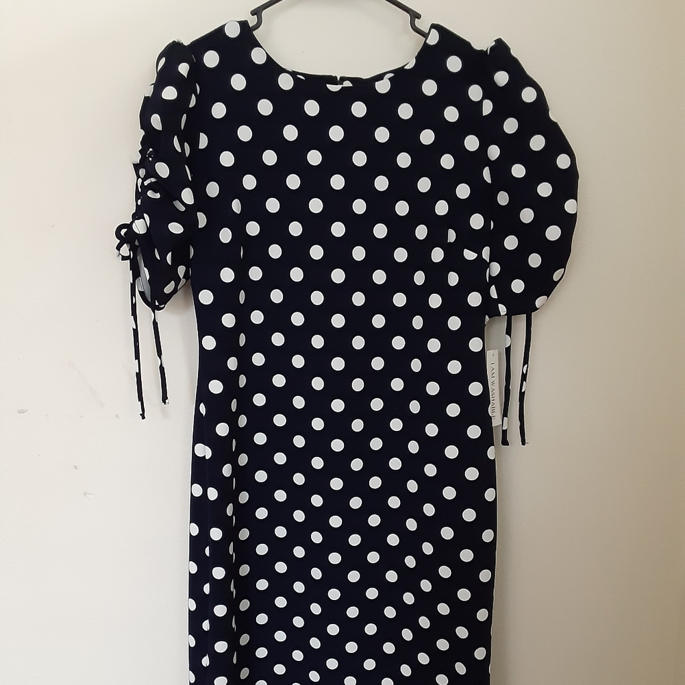 Polka Dot Shelby & palmer dress
